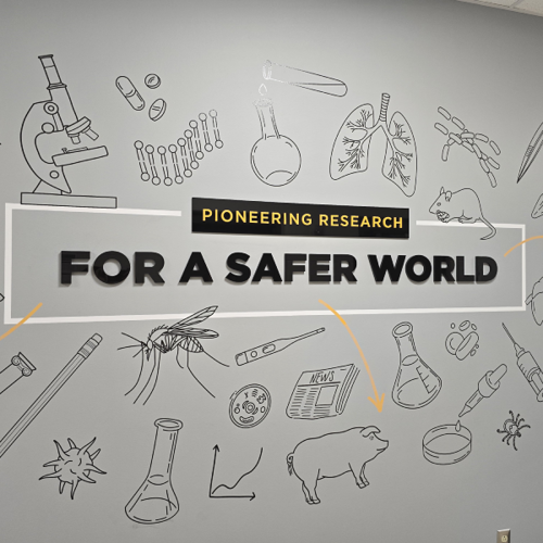Wall Graphics